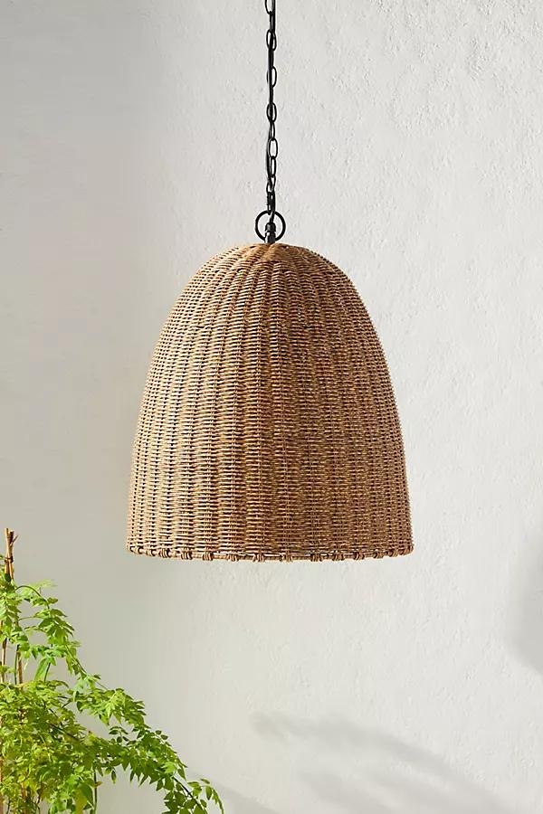 Beehive Indoor/Outdoor Pendant - Image 0