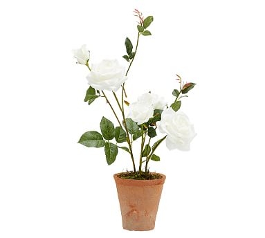 Faux Potted Roses, White - Small - Image 0