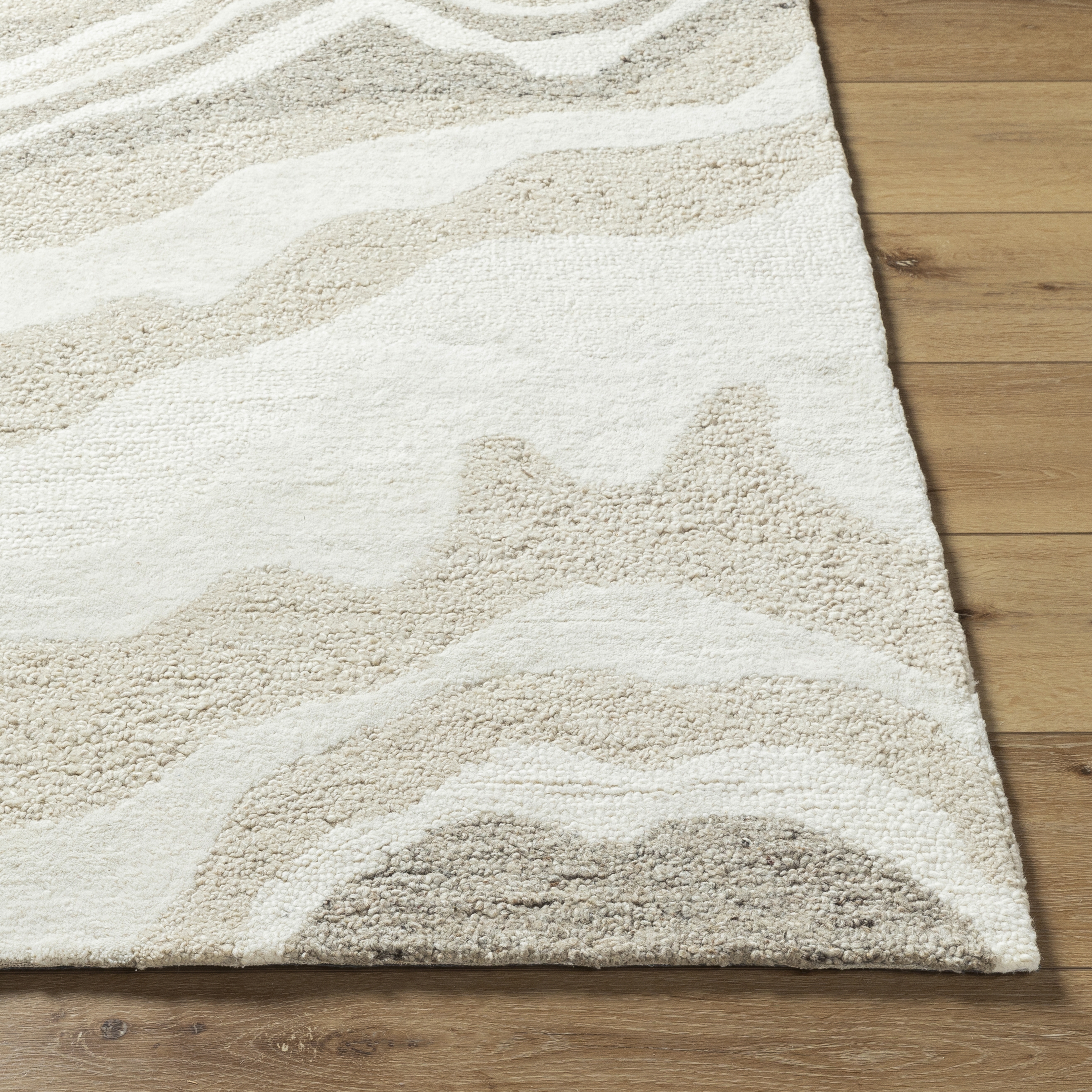 Divine Beige Indoor 12' x 15' Handmade Rug - Image 1