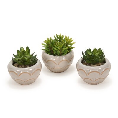 3 Artificial Agave Succulent in Pot Set - Image 0
