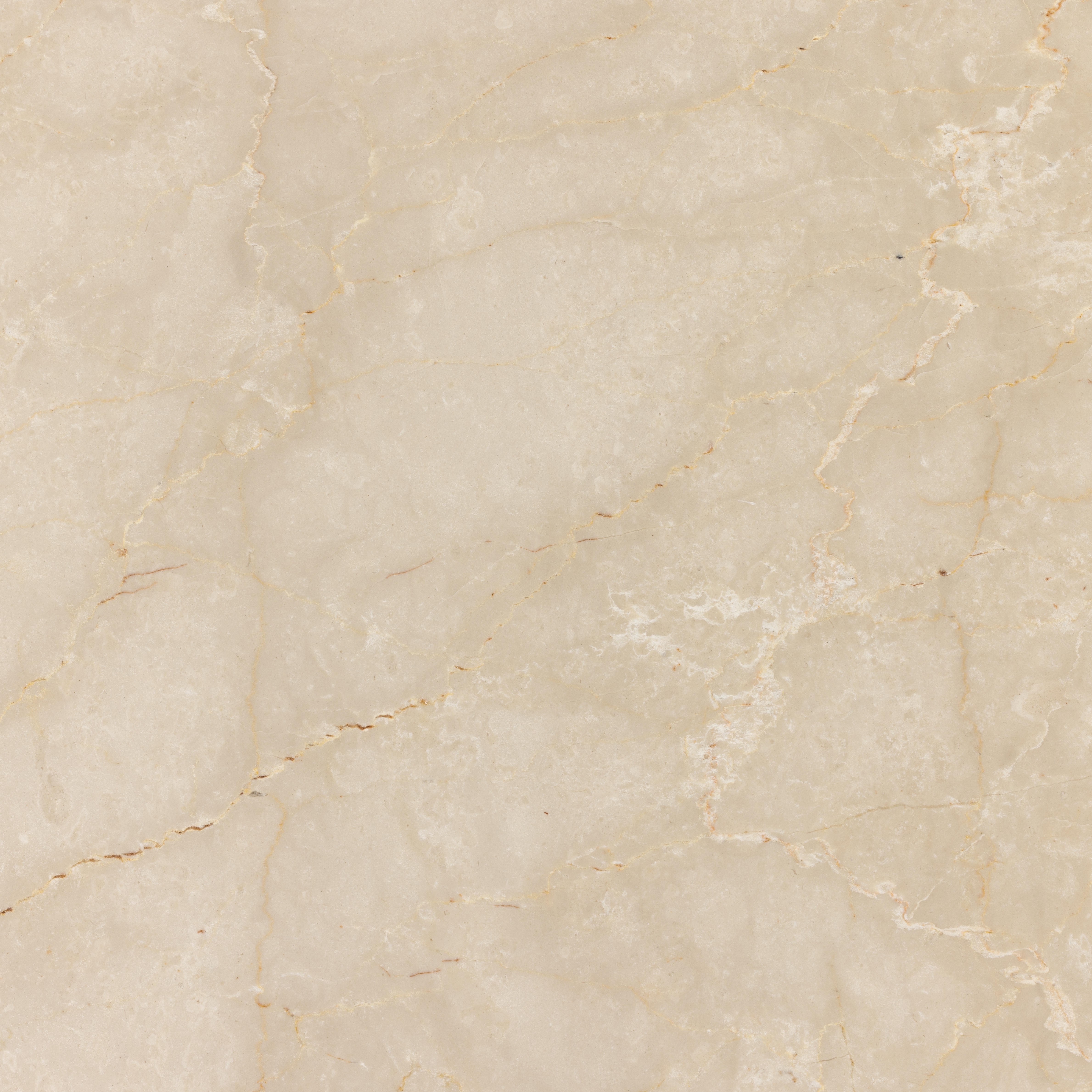 Arum Coffee Table-Cream Marble - Image 5