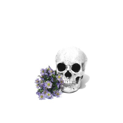 Skull & Daisies Black & White by Jonathan Brooks - Wrapped Canvas Gallery-Wrapped Canvas Giclée - Image 0