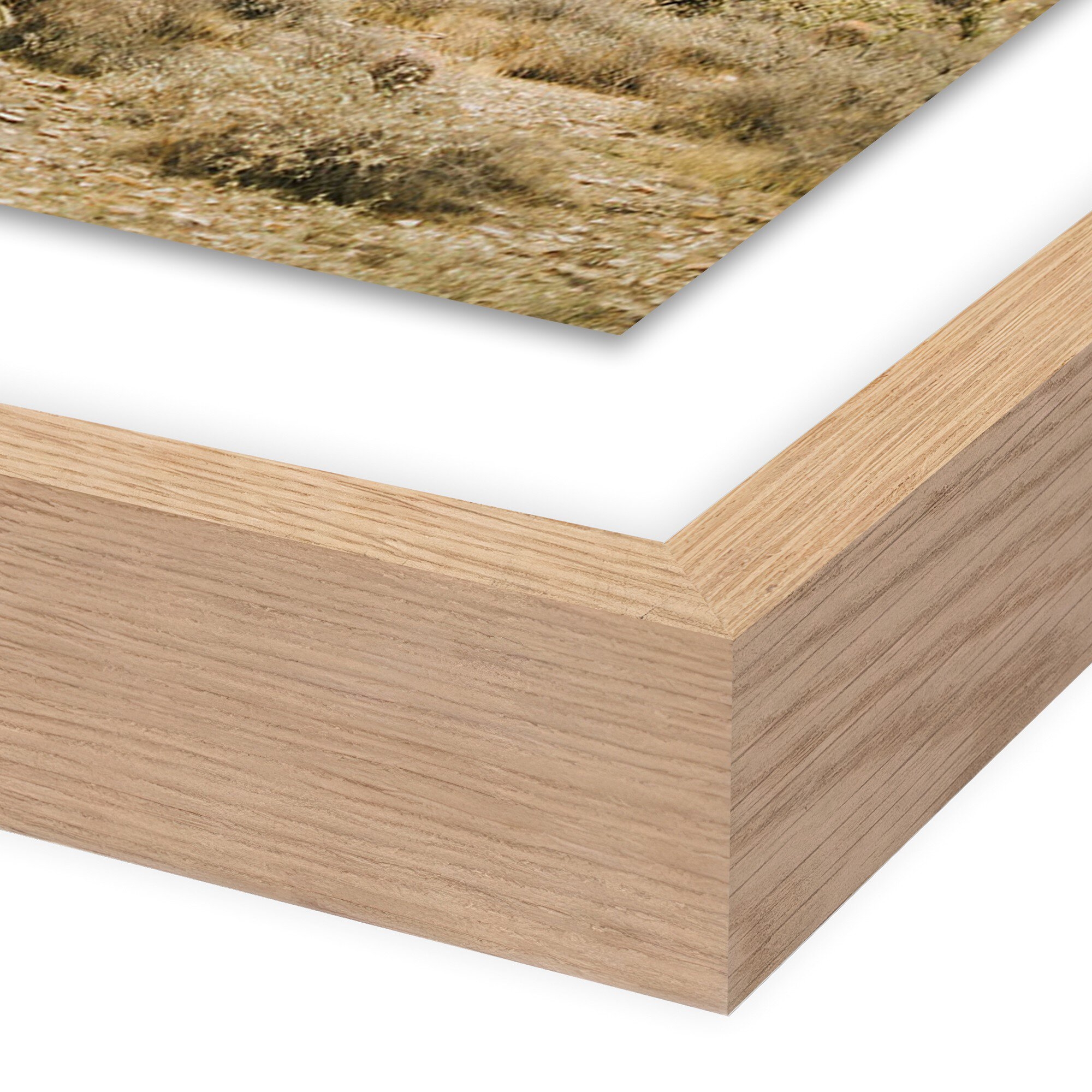 High Desert by Wesley and Emma Teague - Black - Image 1