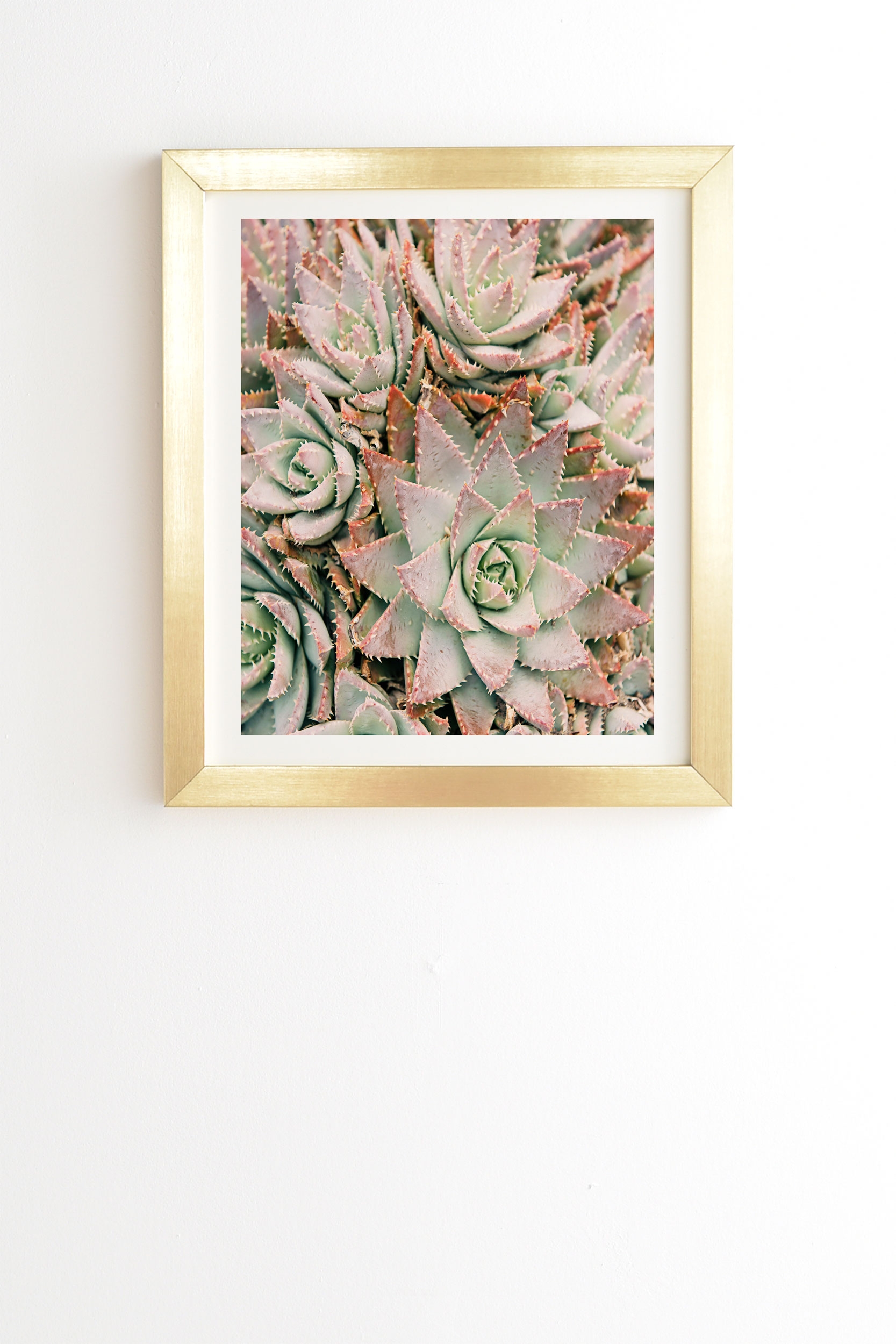 Succulent by Bree Madden - Framed Wall Art Basic Gold 12" x 12" - Image 0