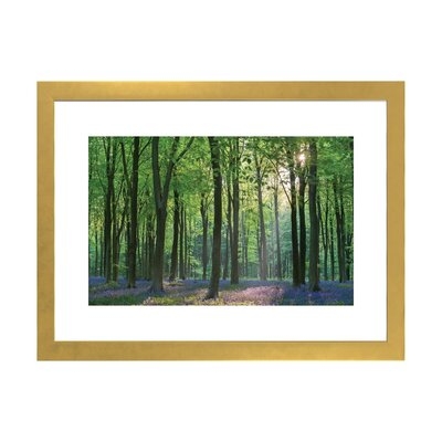 Bluebell Forest II by Adam Burton - Photograph Print - Image 0