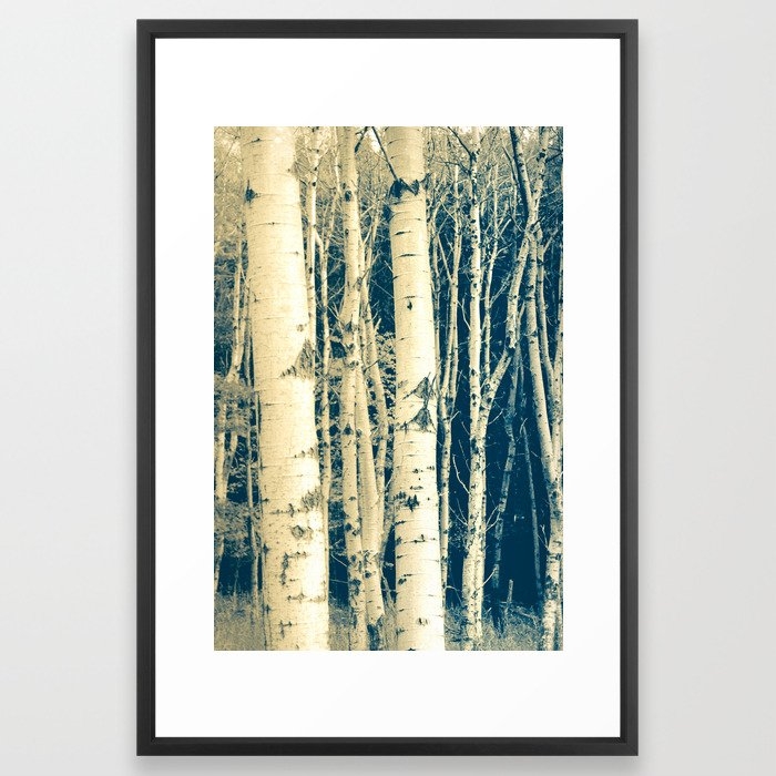Winter Birch Cyanotype Framed Art Print by Olivia Joy St.claire - Cozy Home Decor, - Vector Black - LARGE (Gallery)-26x38 - Image 0