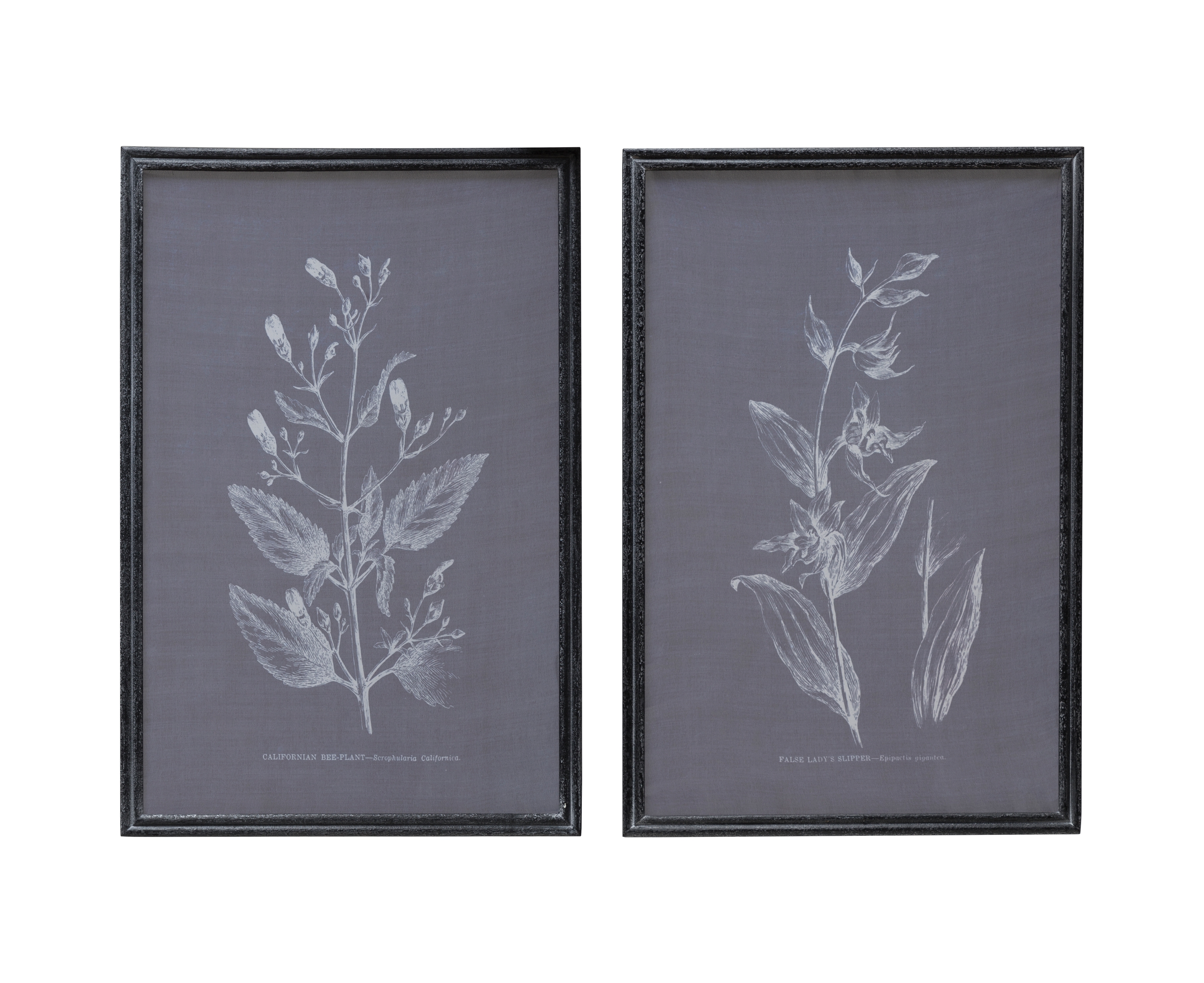 Botanical Silk Screen Art, Set of 2 - Image 0