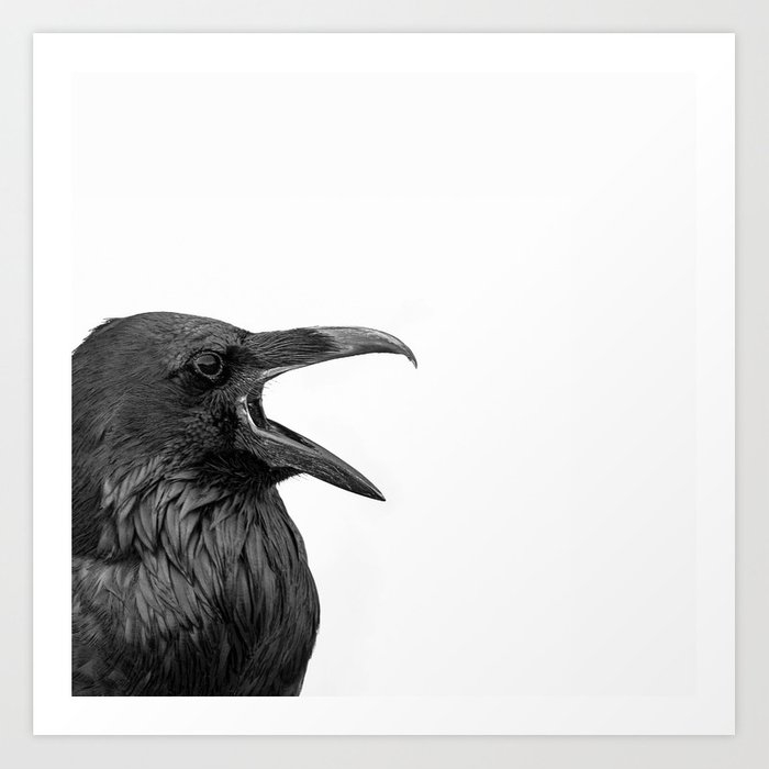 Raven - Black And White Bird Photography Art Print by Christina Lynn Williams - Large - Image 0