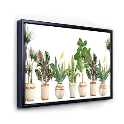 Trio Of Houseplants Sanseviera Snake Plant - Farmhouse Canvas Wall Art Print-FDP35086 - Image 0