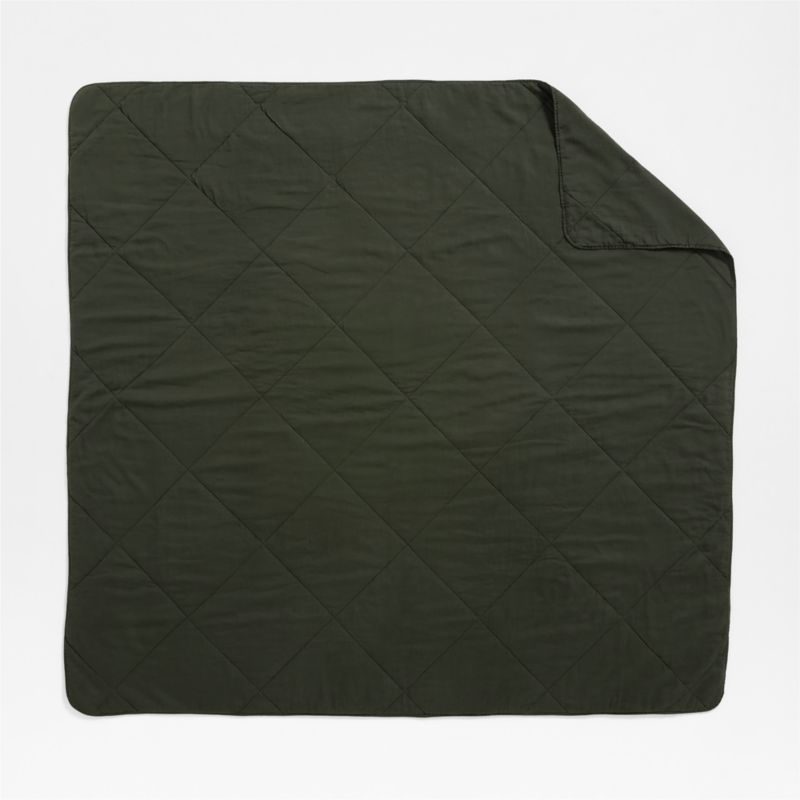 Aire Natural EUROPEAN FLAX ™-Certified Linen Ficus Green Full/Queen Quilt - Image 3