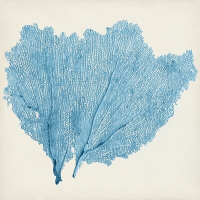 Sea Fan IV by Vision Studio Painting Print on Canvas - Image 0