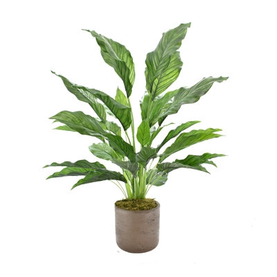 Uv Protected Peace Lily Plant In Brown Pot - Image 0
