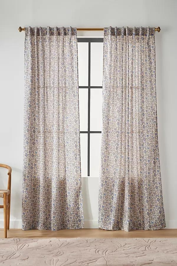 Bellis Curtain - Image 0