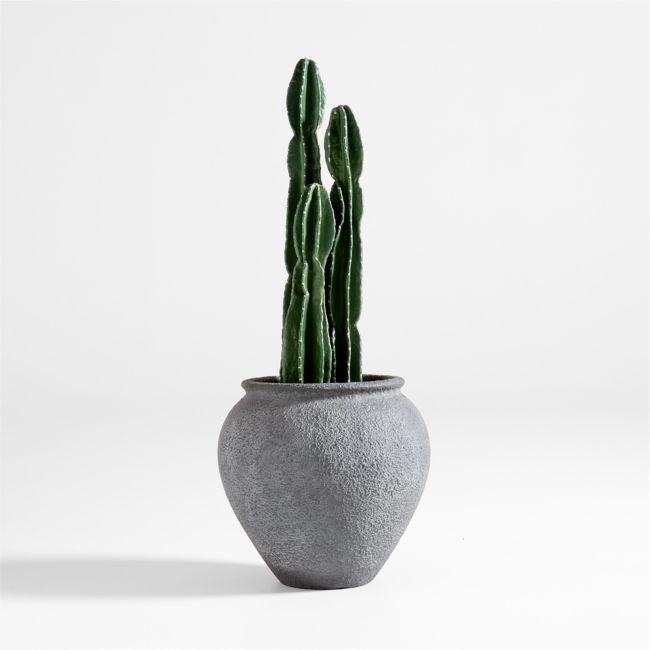 Faux Tall Potted Cactus Plant - Image 1