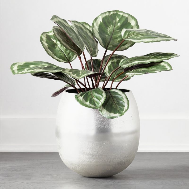 Faux Potted Calathea Medallion 24" - Image 1