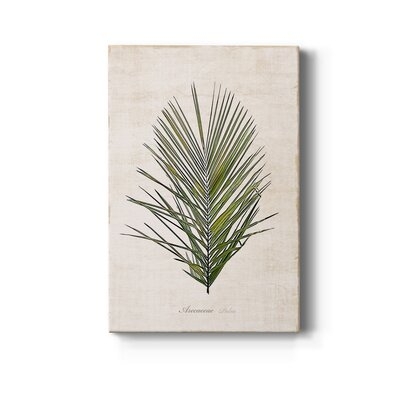Palm Botanical I Premium Gallery Wrapped Canvas - Ready To Hang - Image 0