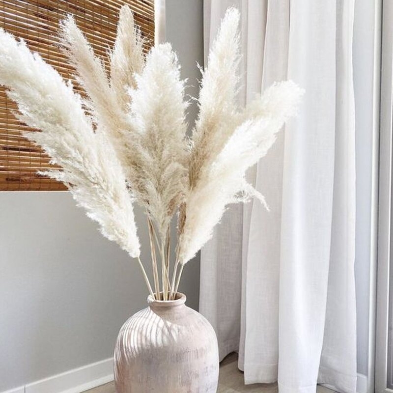 Natural Dried Pampas Grass, Set of 3 - Image 1