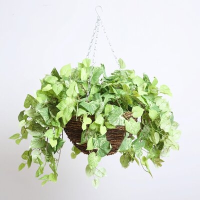 Green Pothos Vine Artificial Plant In Round Grapevine Hanging Basket - Image 0
