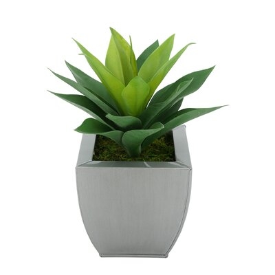 7'' Artificial Succulent Plant in Pot - Image 0