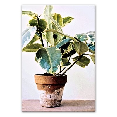 Houseplant - Wrapped Canvas Painting Print - Image 0