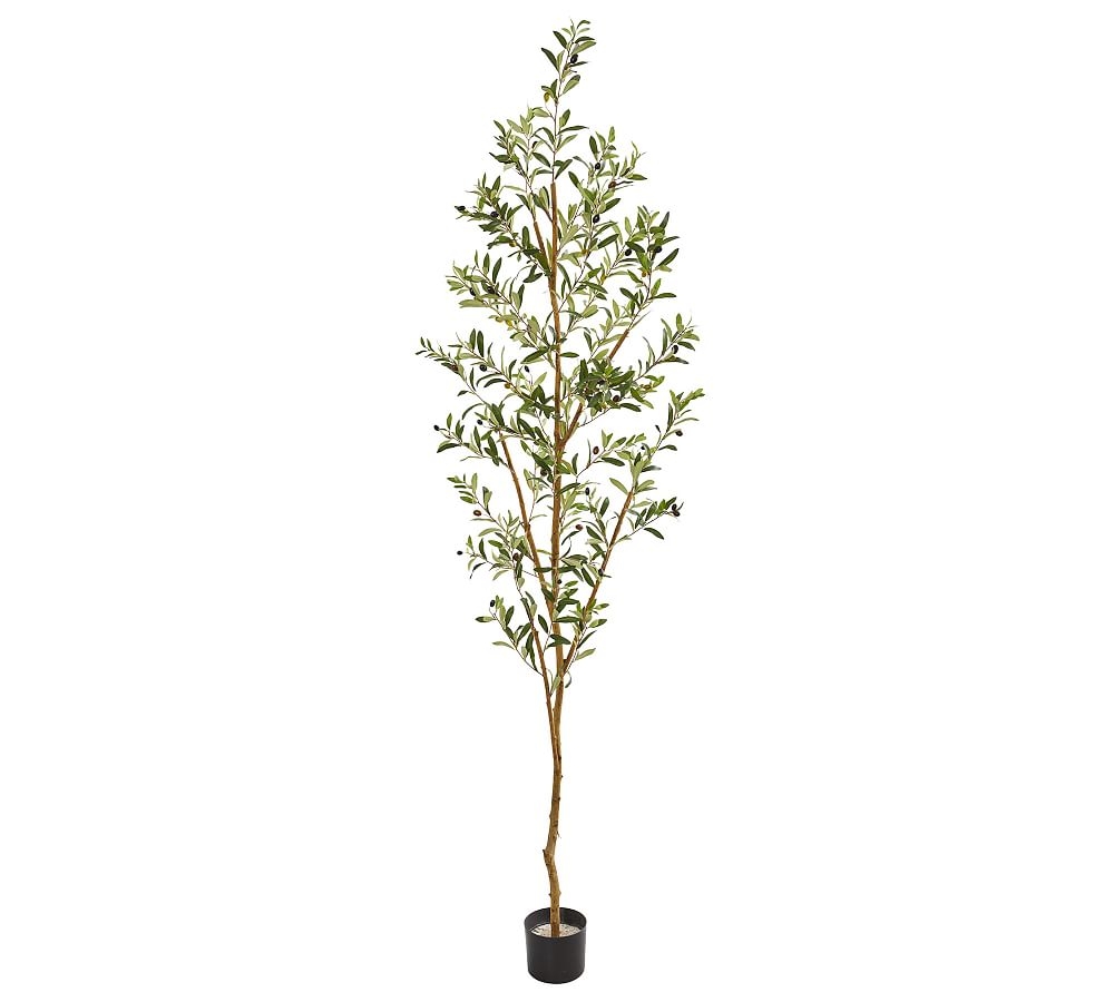 Faux Olive Tree, 6.5' - Image 0