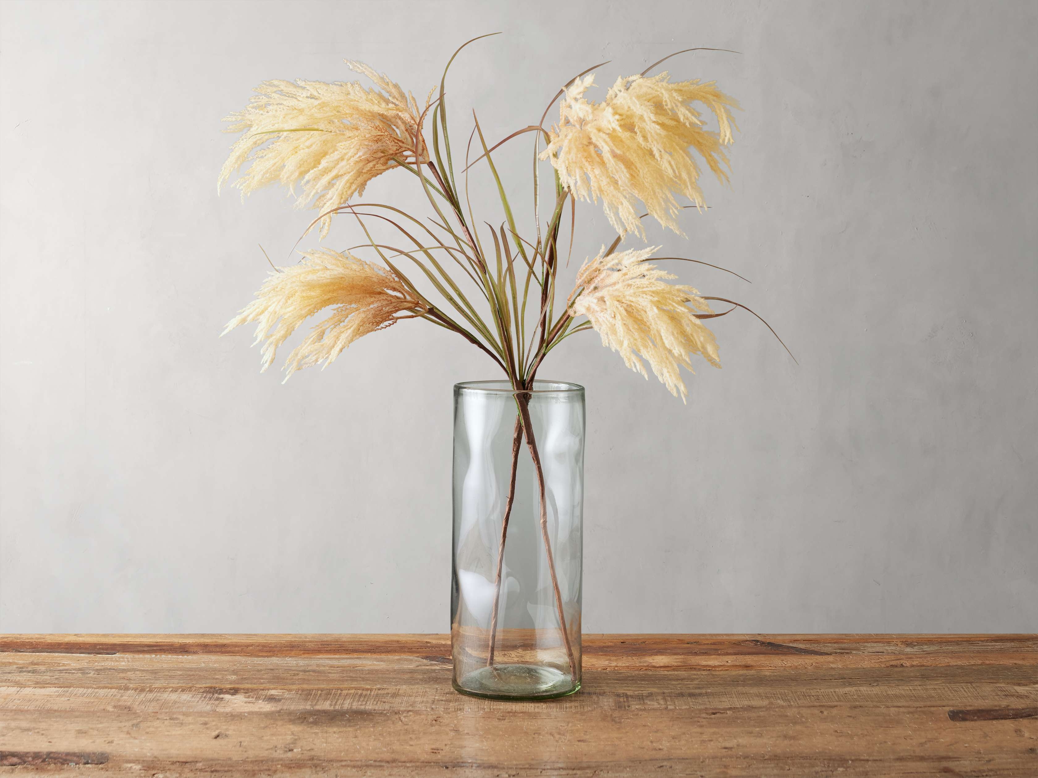 Pampas Grass in White  Cream - Image 0