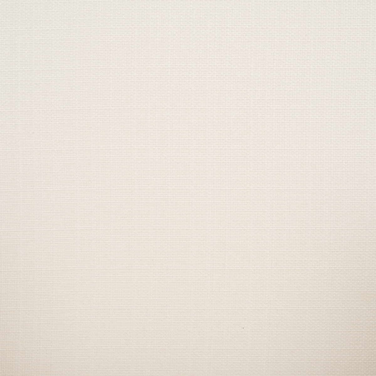 Edan Dining Chair - Navy / White - Safavieh - Image 4