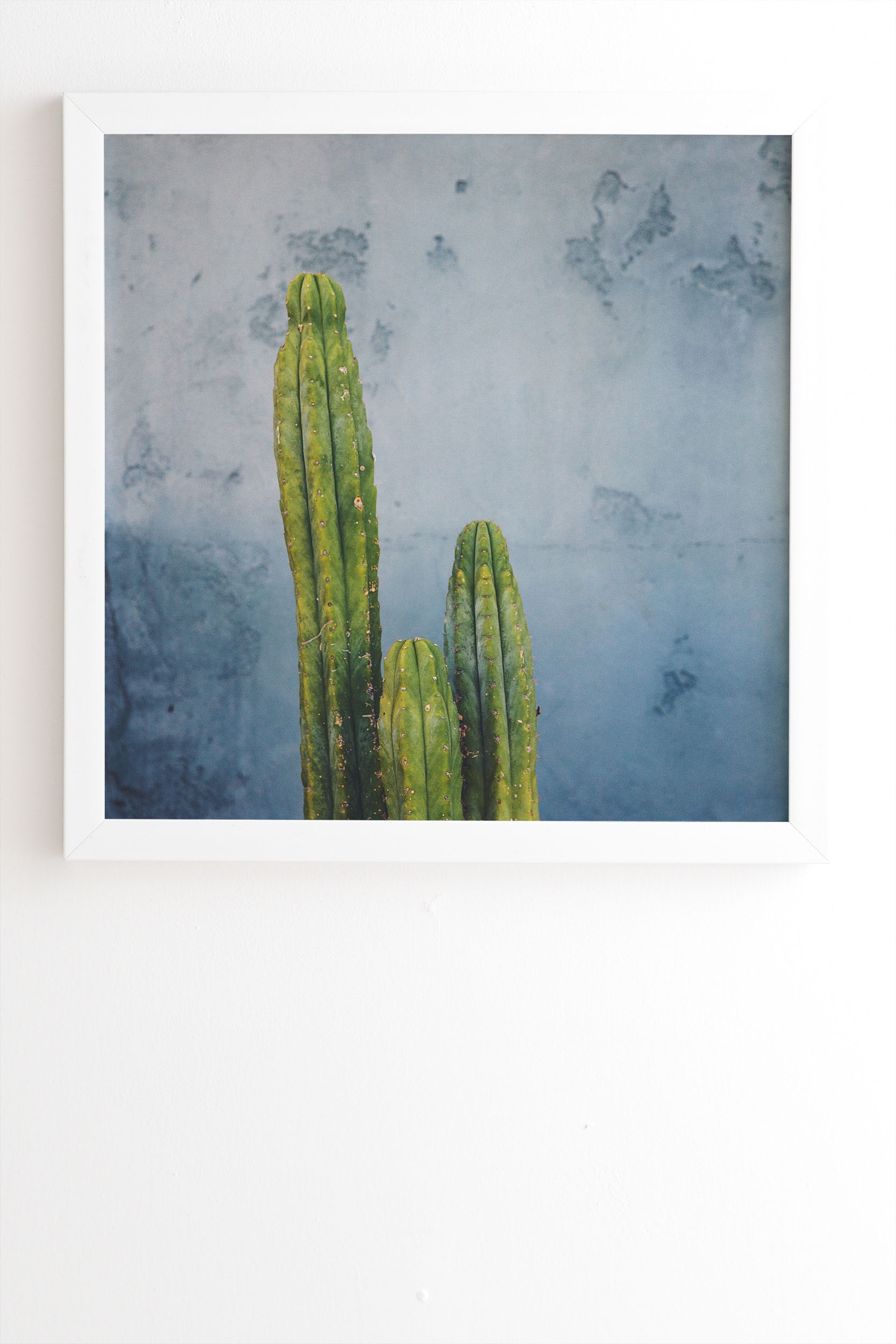 Cactus Family Portrait by Catherine McDonald - Framed Wall Art Basic White 11" x 13" - Image 1
