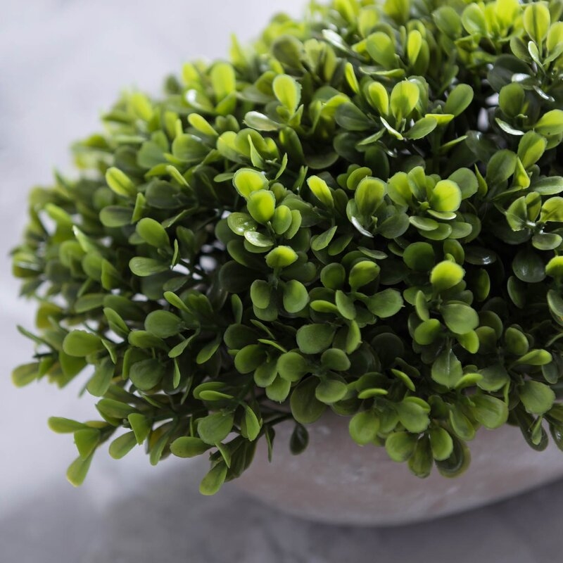 6.8'' Artificial Boxwood Plant in Pot - Image 3