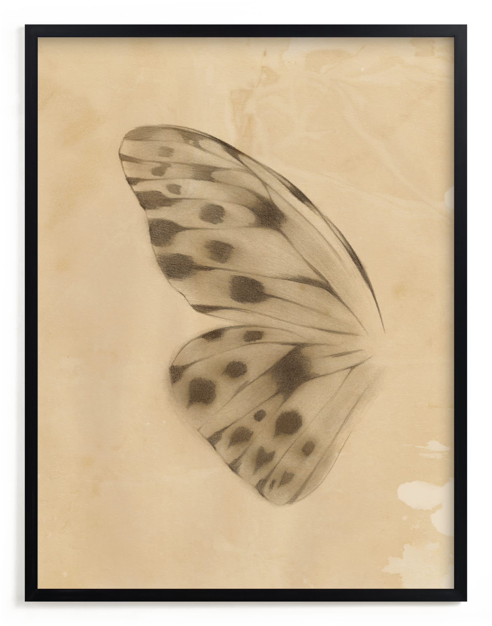 Vintage Mariposa I Limited Edition Fine Art Print 2 - Image 0