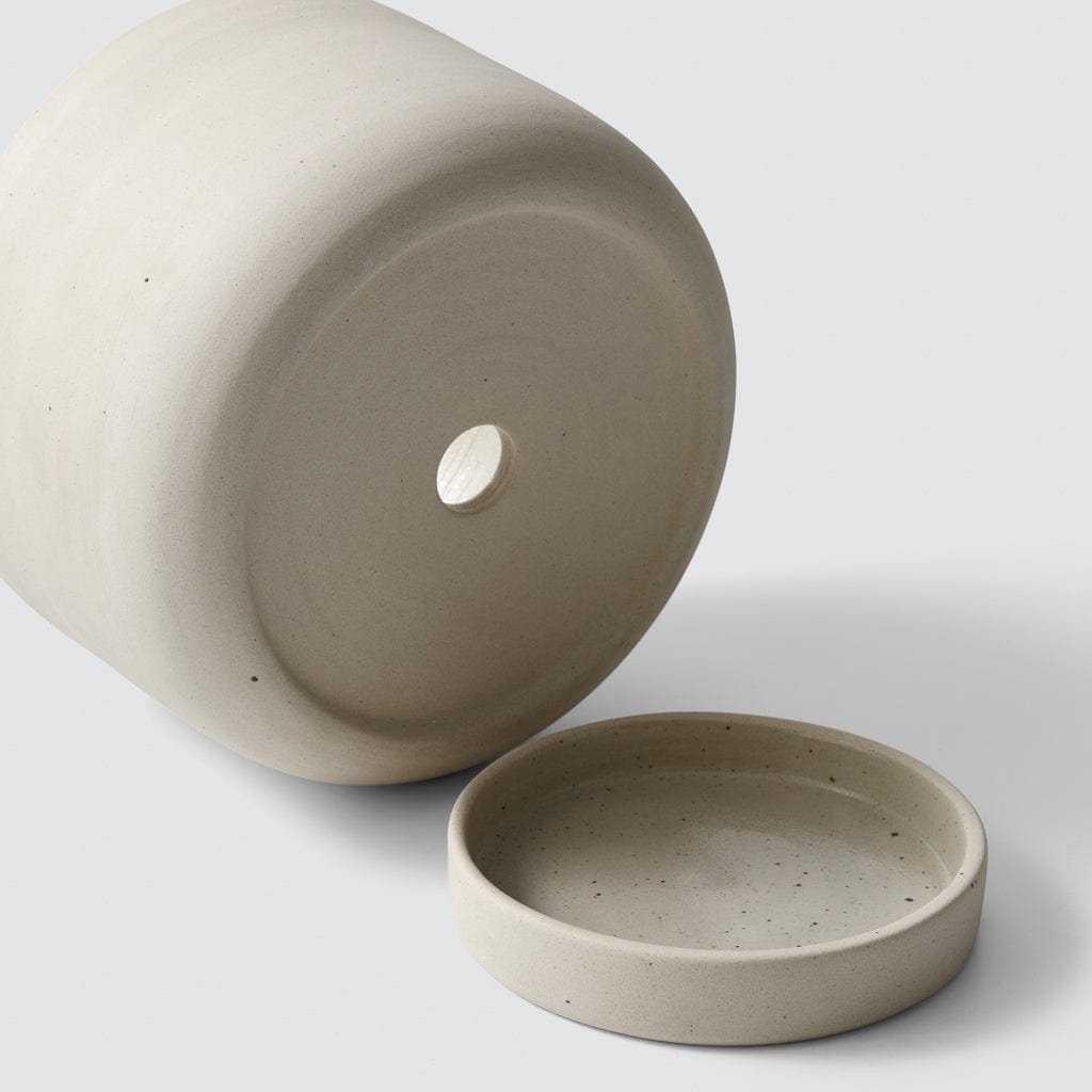 The Citizenry Paseo Tabletop Planter | Ivory - Image 4