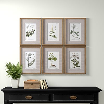 Botanical Study' - 6 Piece Picture Frame Graphic Art Print Set on Paper - Image 1