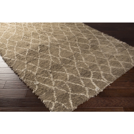 Denali Brown Indoor 5' x 8' Handmade Rug - Image 1