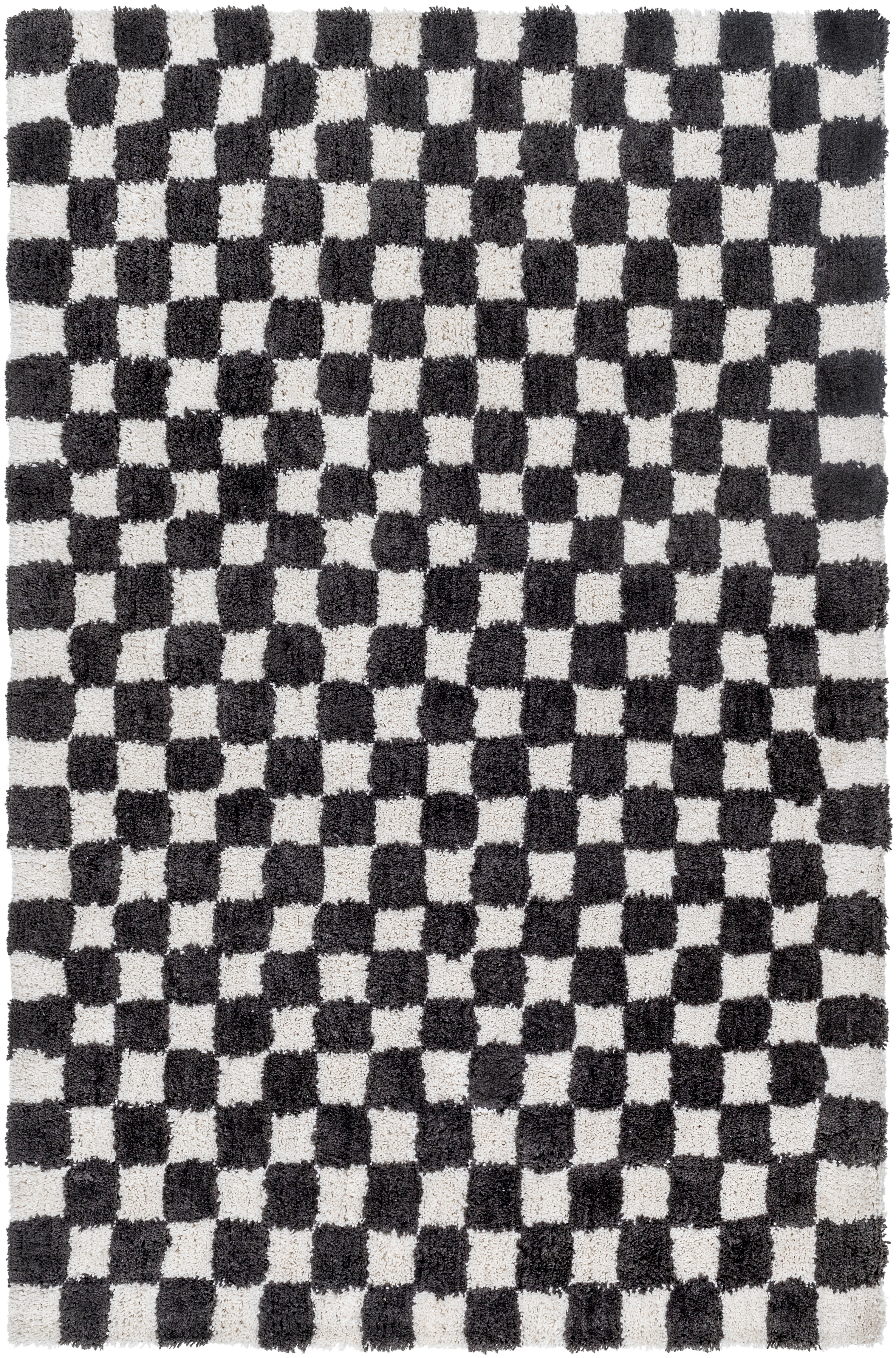 Nicole Black Indoor 2' x 3' Handmade Rug - Image 0