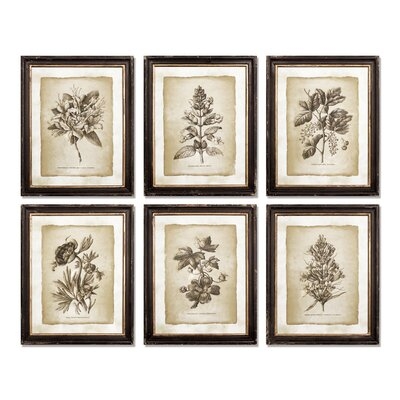 'Antiqued Stems' - 6 Piece Picture Frame Print Set on Paper - Image 0