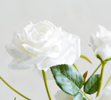 Faux Potted Roses, White - Small - Image 2