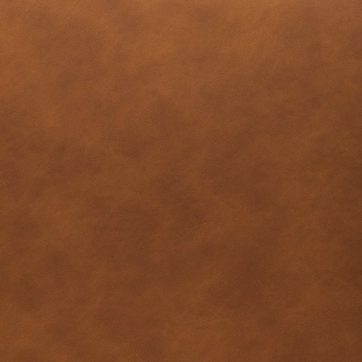 Kayne Dining Chair - Cognac / Black - Safavieh - Image 4