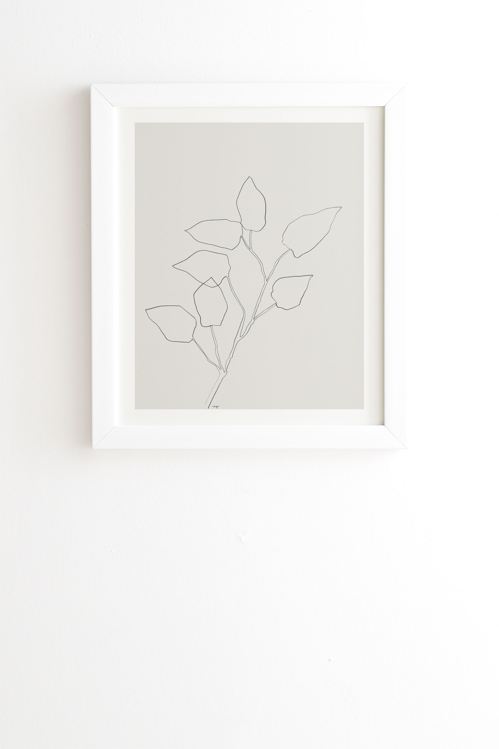 Floral Study No 5 by Megan Galante - Framed Wall Art Basic White 30" x 30" - Image 0