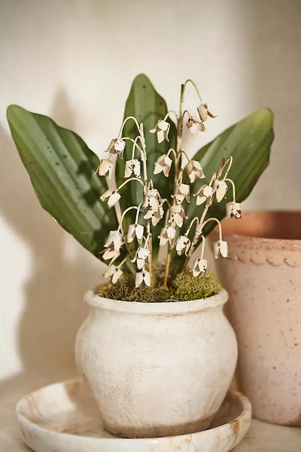 Lily of the Valley Iron Bunch - Image 0