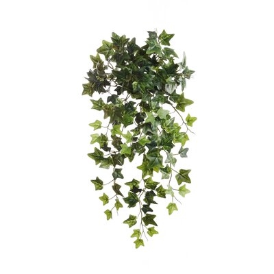 Voluminous Ivy Plant - Image 0