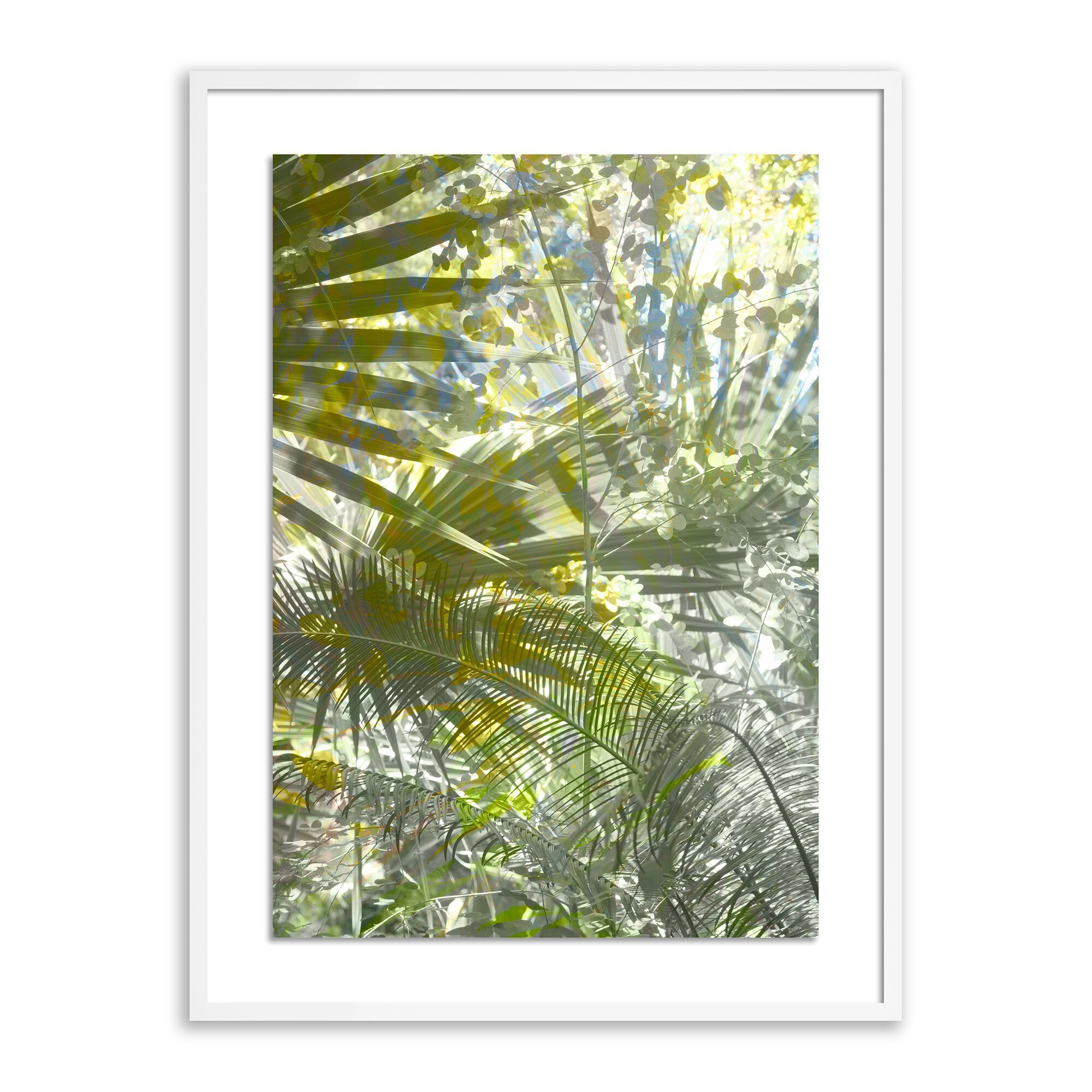 Golden Years by Fountain Grass Studios - White 2.5 Maple - Image 0