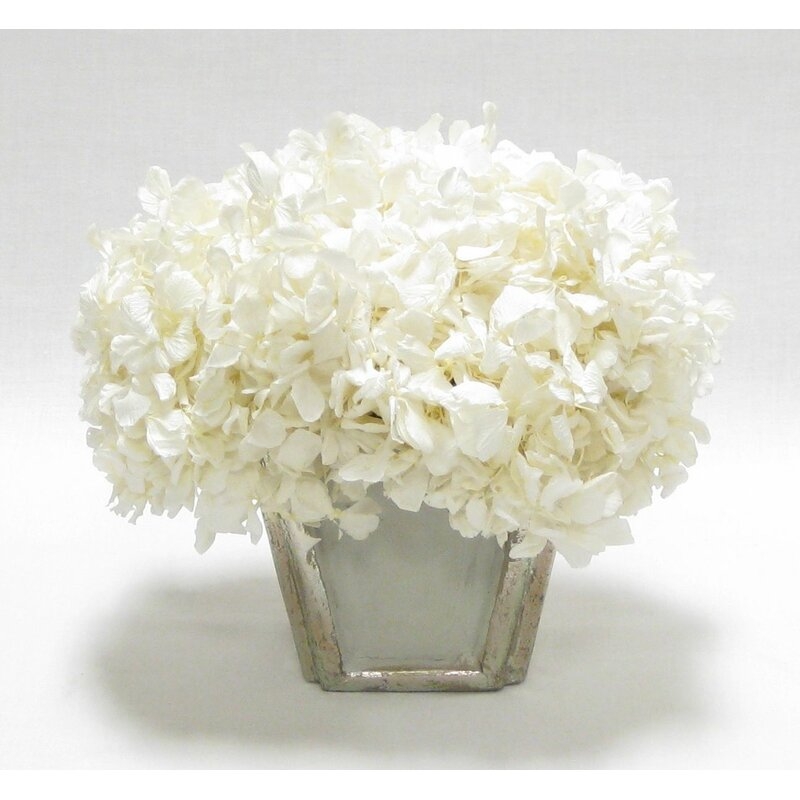Hydrangea Floral Arrangement in Pot Flower Color: White, Base Color: Silver - Image 0