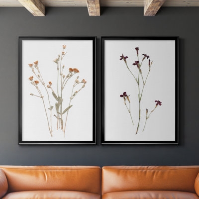 Pressed Botanical I Premium Framed Canvas - Ready To Hang - Image 0