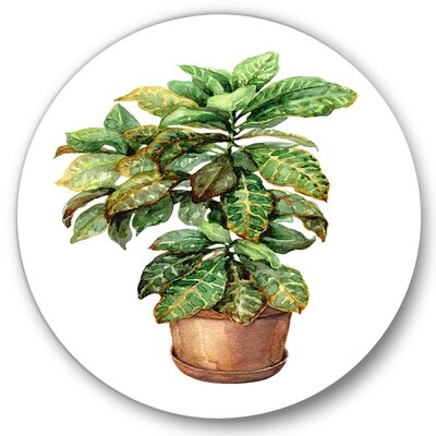 Croton In Clay Flowerpot - Traditional Metal Circle Wall Art - Image 0