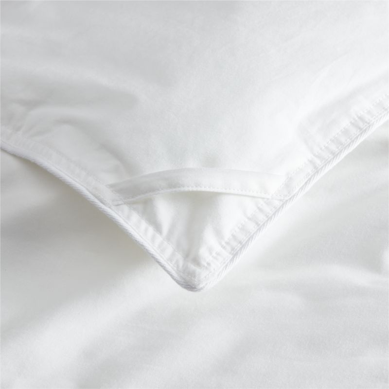 Classic Organic Cotton Down-Alternative Heavyweight Full/Queen Duvet Insert - Image 1
