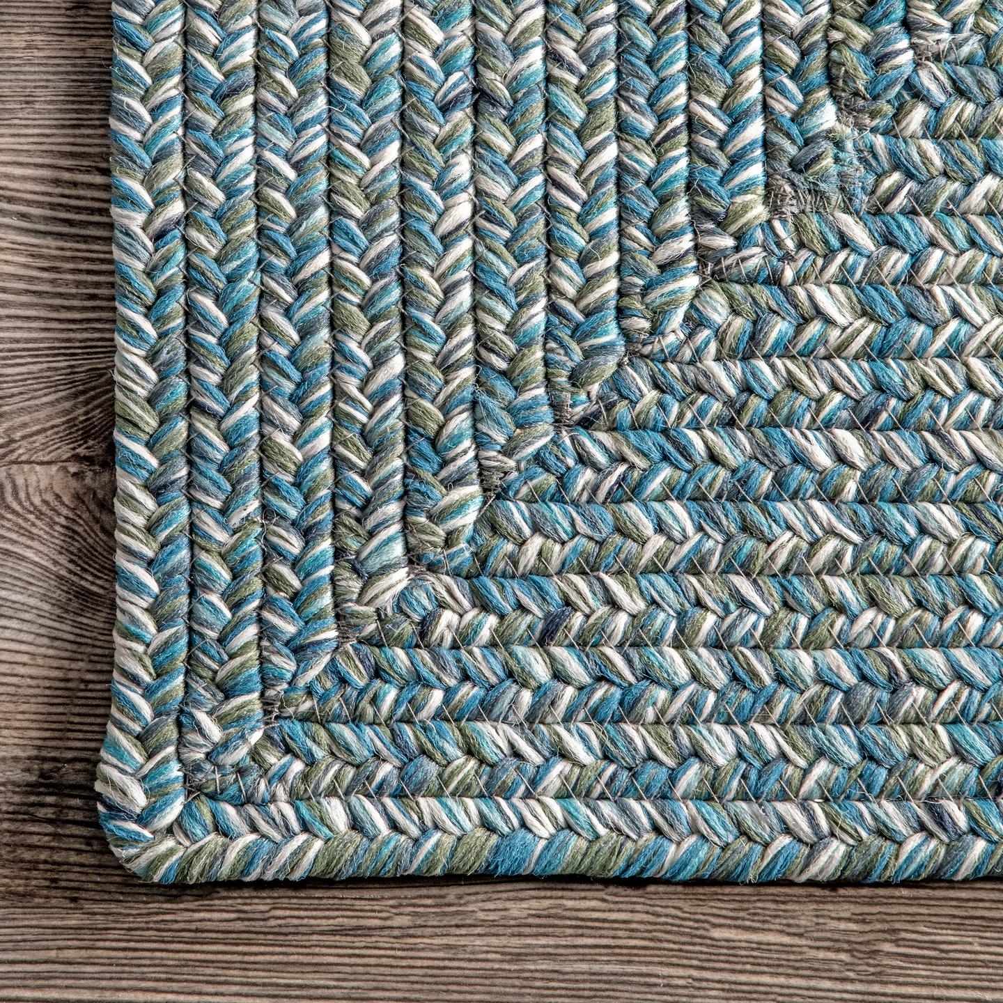 Braided Lefebvre Indoor/Outdoor Area Rug - Image 2