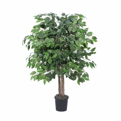 Silk Bush Ficus Tree in Planter - Image 0