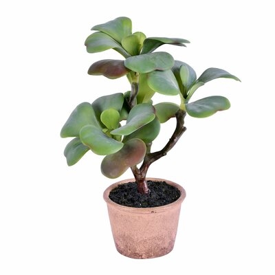 Artificial Succulent in Pot - Image 0