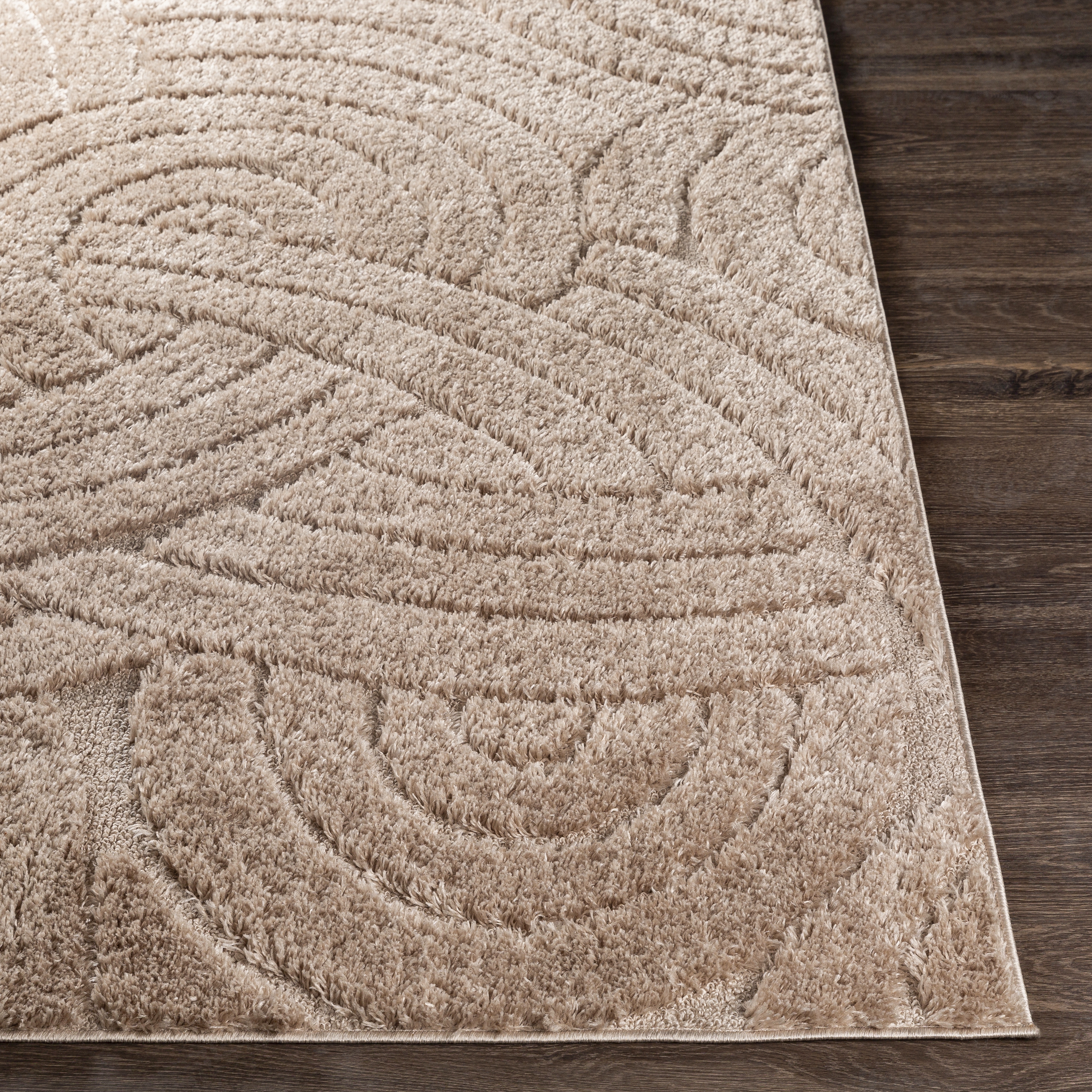 Elenor Brown Indoor 6'7" x 9' Machine Woven Rug - Image 2