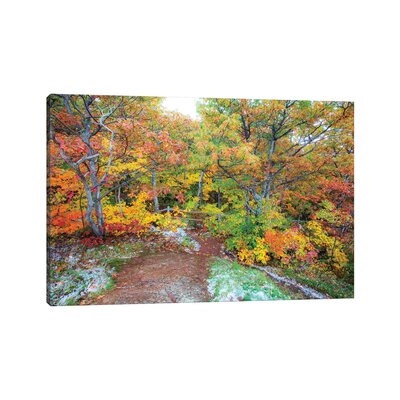 Snowy Autumn by Kevin Clifford - Gallery-Wrapped Canvas Giclée - Image 0